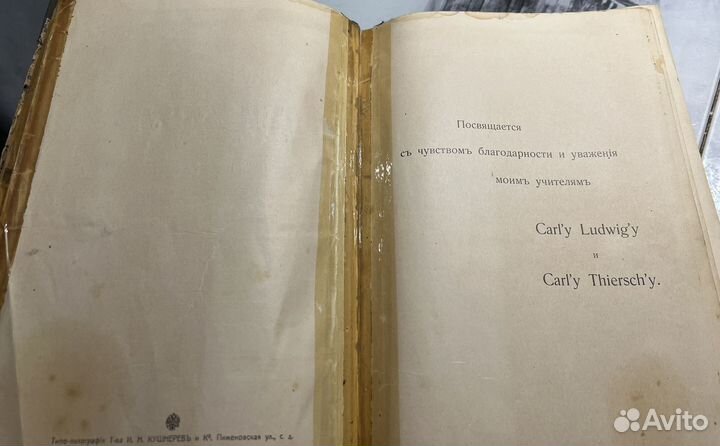 Антикварные книги -Тильманс Герман 1910 г