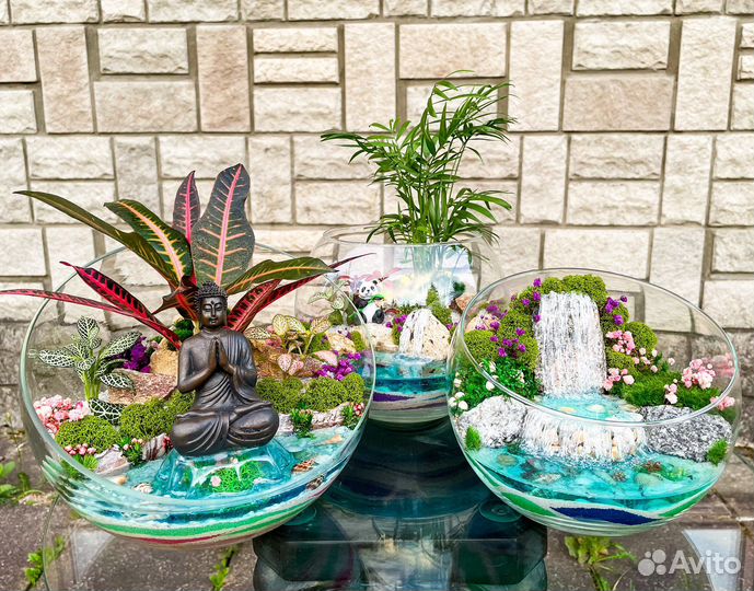 Флорариумы, моссариумы, мини-сидики из суккулентов