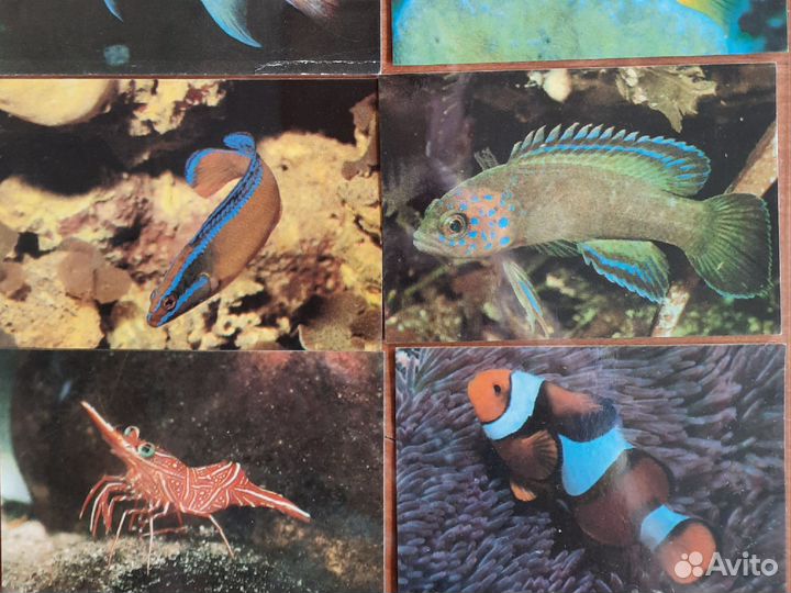 Карманные календарики СССР