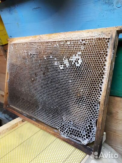 Рамки с сушью вощиной