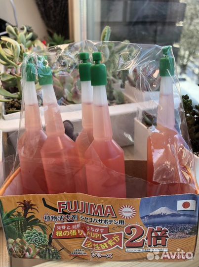 Японское удобрение Для суккулентов и кактусов