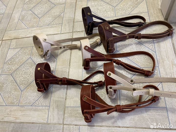 Намордник для собак