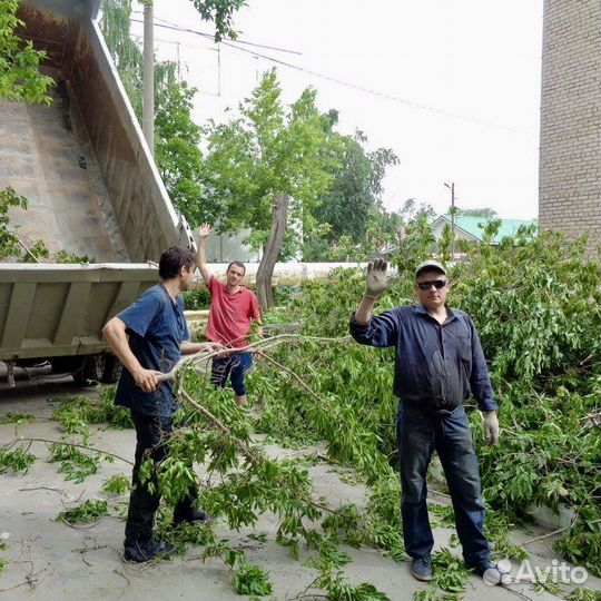 Вывоз мусора с грузчиками
