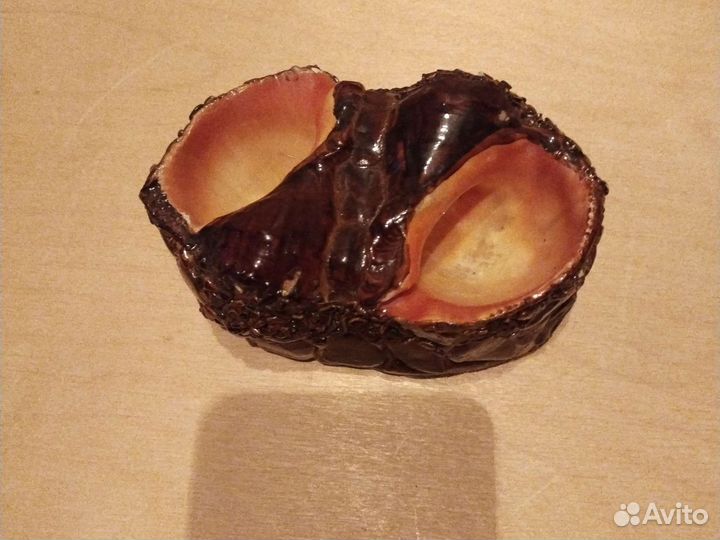 Пепельница из ракушек