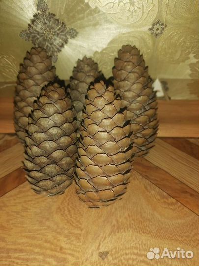 Шишки для творчества