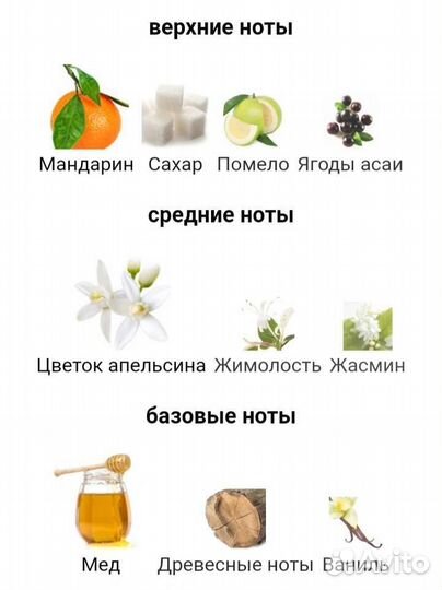 Эйвон Петит Би