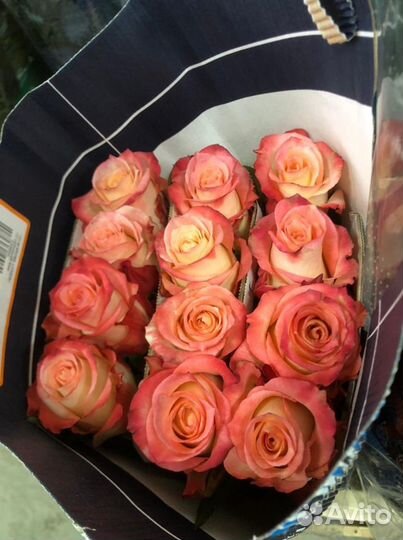 Роза Эквадор опт