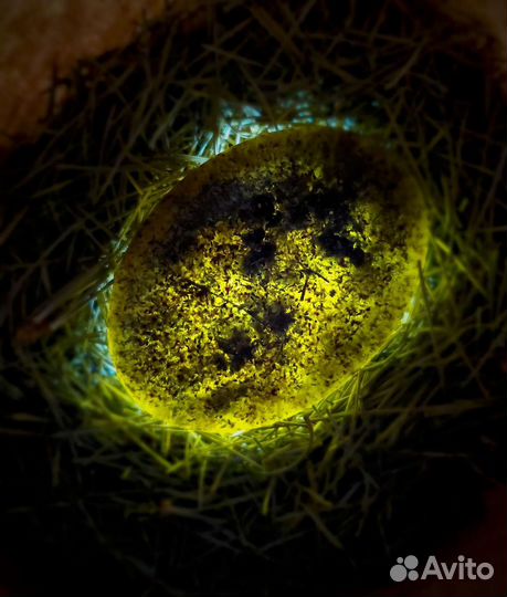 Колдовское мыло и соль Смыв негатива