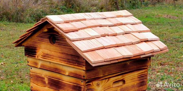 Купить пчёл Карпатка, пчелопакет, улей 