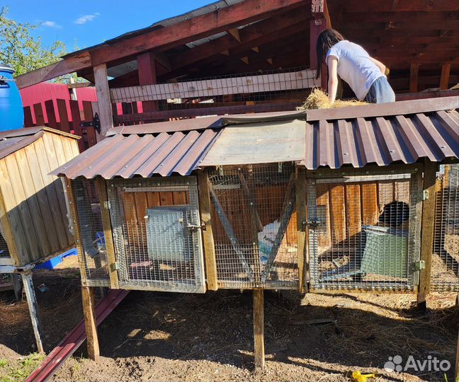 Клетки для кроликов