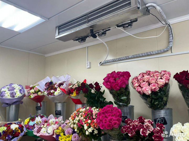 Холодильная сплит система для цветов