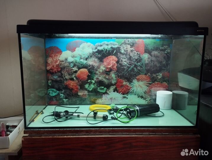 Аквариум