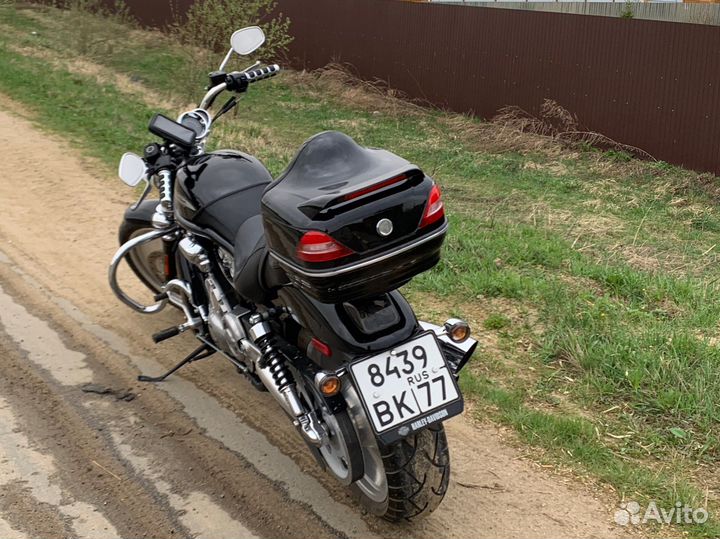 Harley Davidson V-ROD vrscb