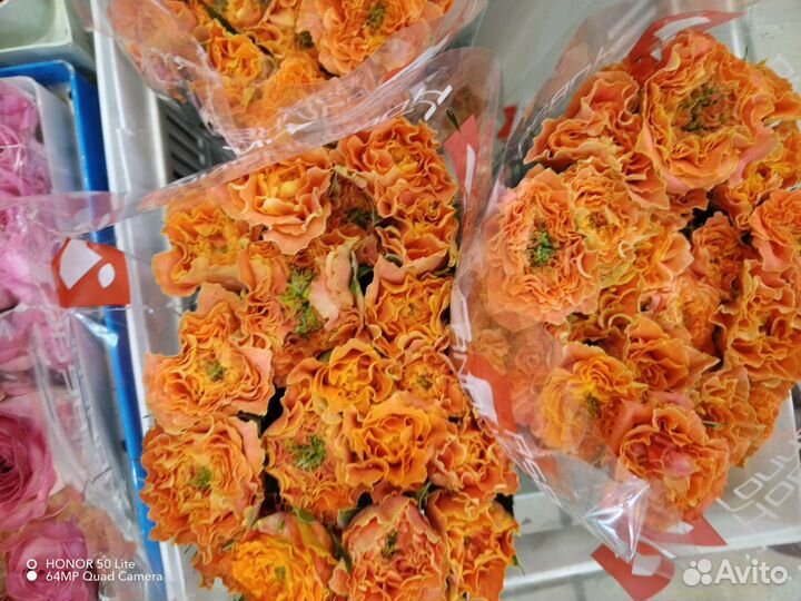 Роза российская 40см пачка (20 шт)