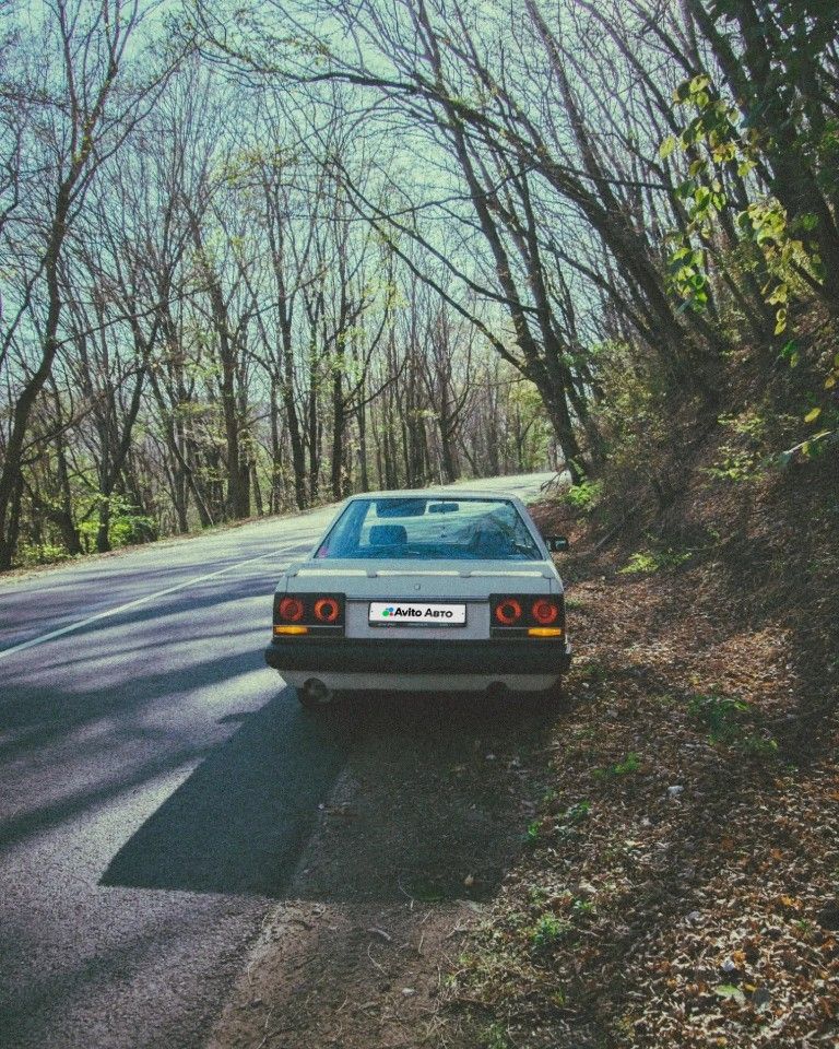 Nissan Skyline: фото владельца