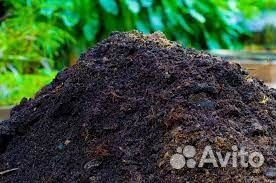 Купить перегной от производителя