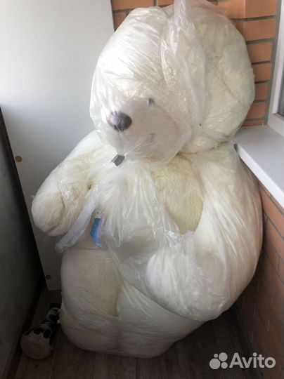 Огромный медведь