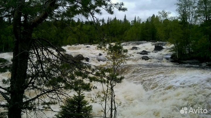Индивидуальные экскурсии с гидом-экскурсоводом