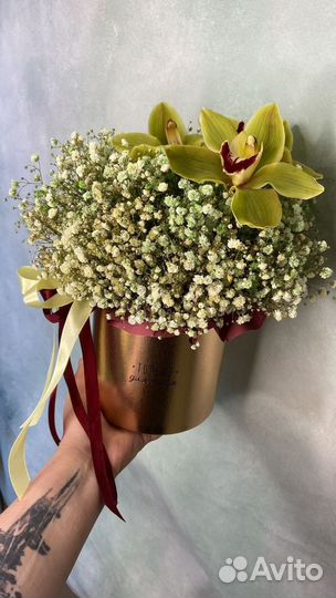 Цветы гипсофила букет для женщины