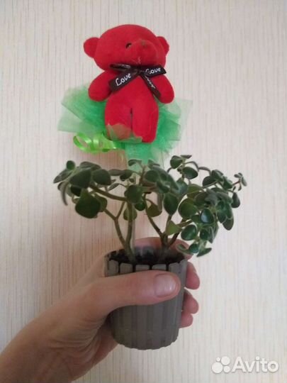 Дерево любви - подарок девушке, маме