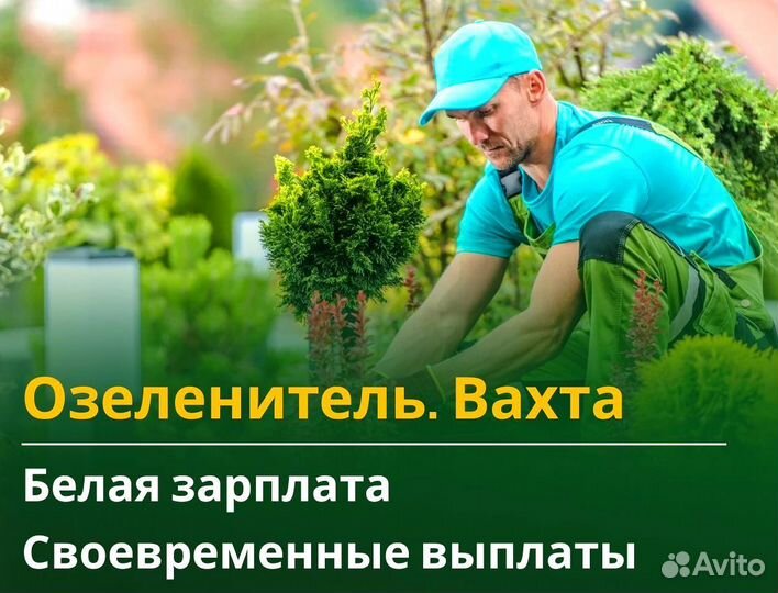Вахта 60/30 Жильё питание / Озеленитель