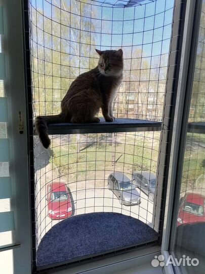 Балкон для кошки