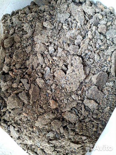 Жмых подсолнечный