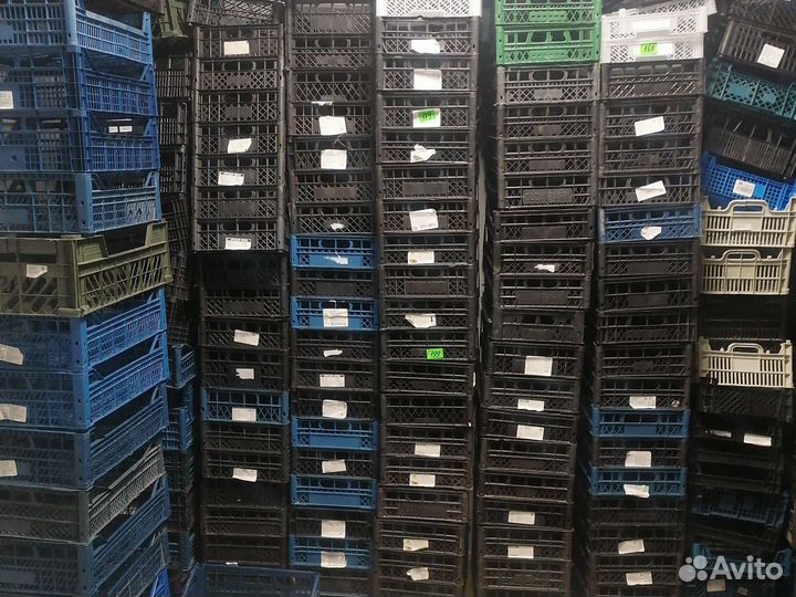 Пластиковые ящики бу