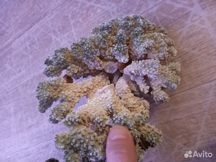 Декорации для аквариума