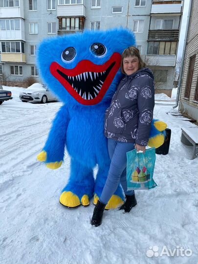 Костюм Аниматора