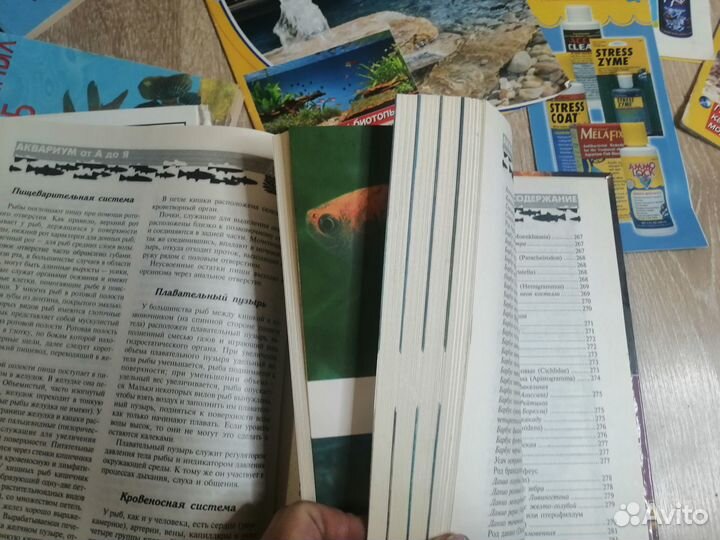 Аквариумные рыбки, растения и т.д