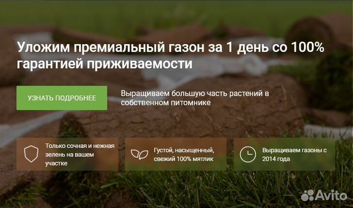 Газонная трава