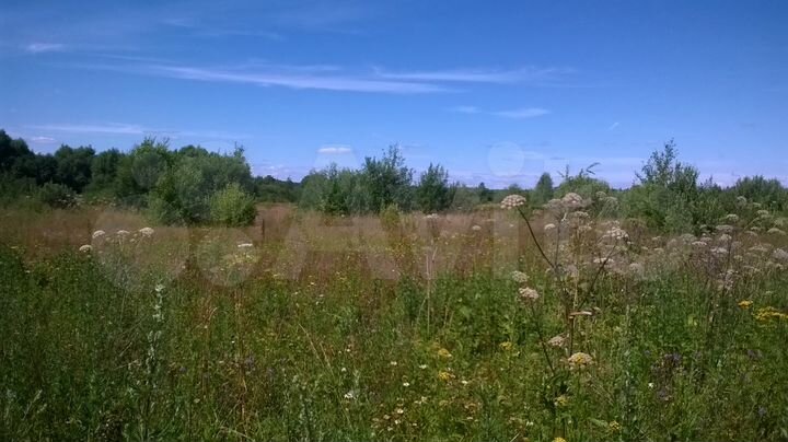 Участок 38 сот. (СНТ, ДНП)