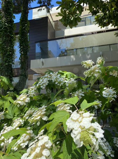 Гостиница, 1300 м²