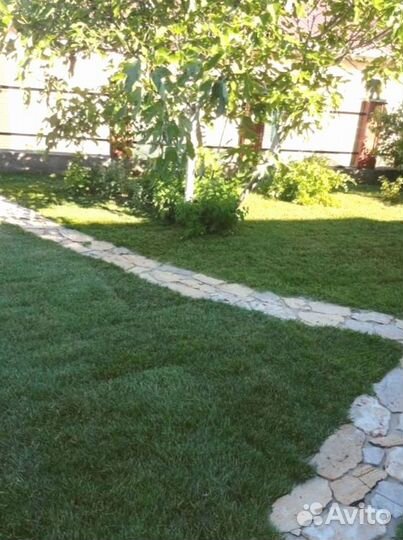 Рулонный газон