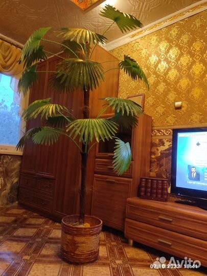 Искусственная пальма