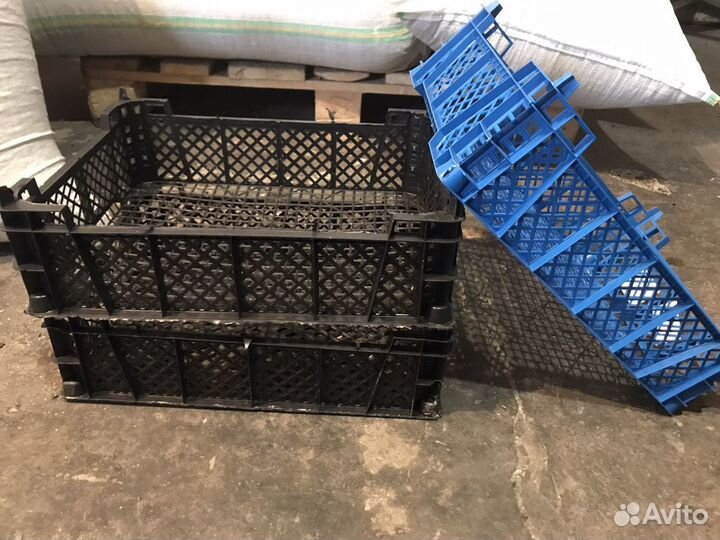 Ящики для бутылок, грибные, колбасные прием ящиков