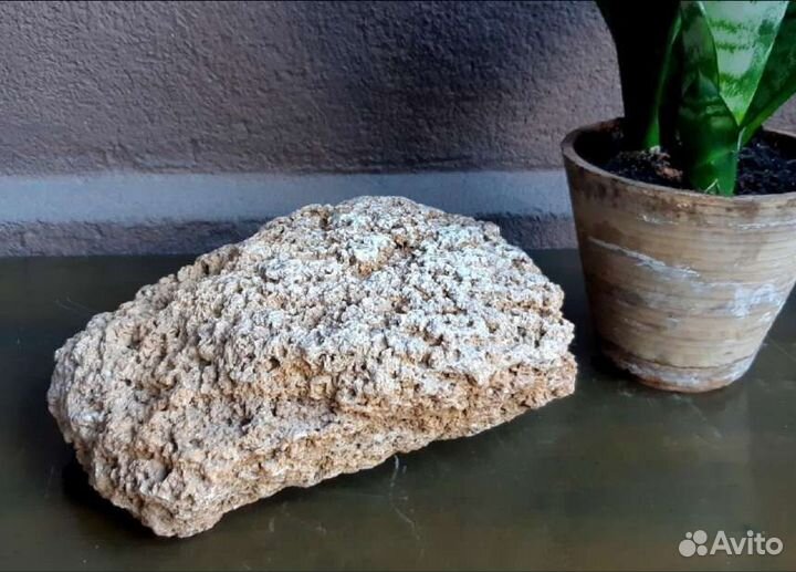 Островок для земноводных из природного ракушечника