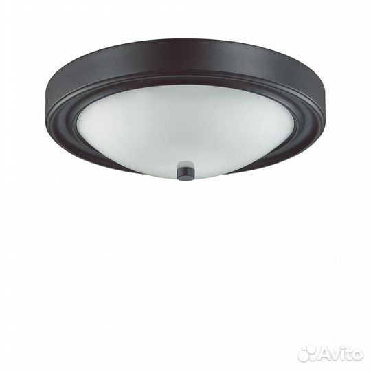 Светильник настенно-потолочный Lumion Nina 5260/2C