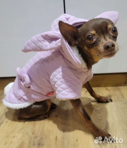 Кофточка для маленьких собачек