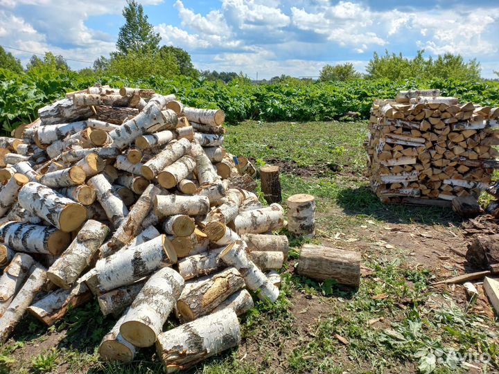 Дрова колотые береза
