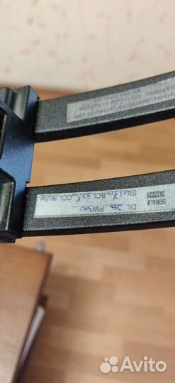 Bear Archery Motive 6 RH