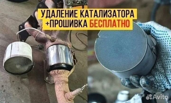 Удаление катализатора бесплатно