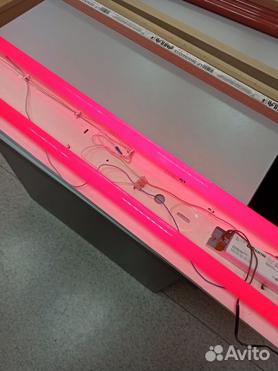 Люминесцентная лампа Philips TL-D 36W/15 red G13