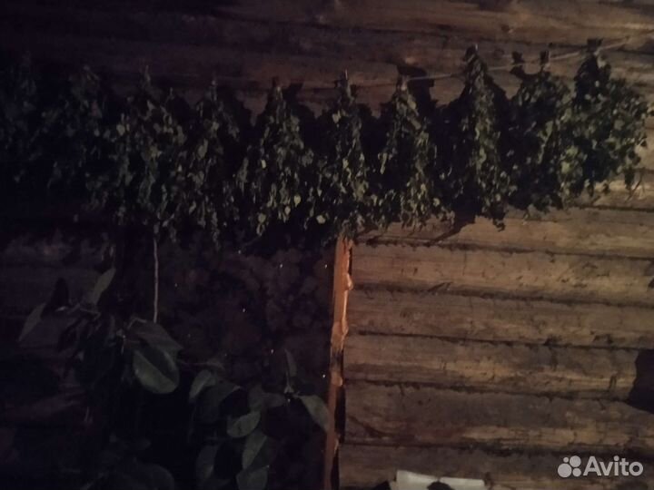 Березовые веники