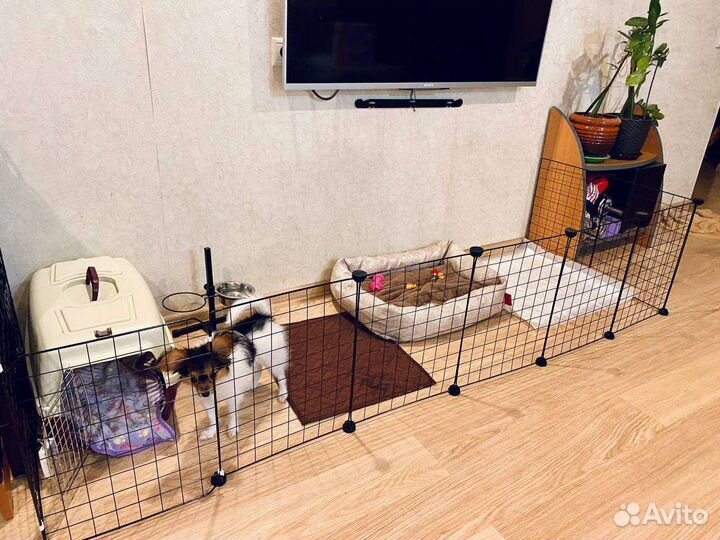 Вольер для собак домашний