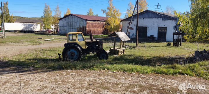 Пилорама готовый бизнес