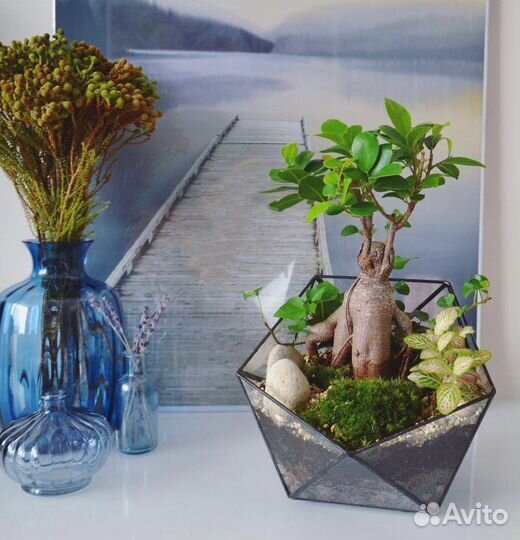 Флорариум с бонсай