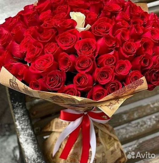 Высокие Розы Гиганты Доставка Круглосуточно