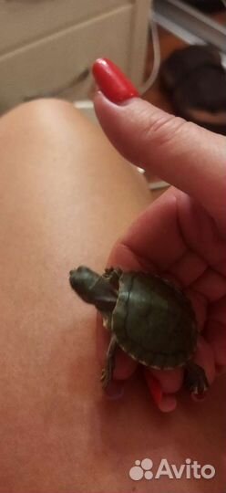 Билет в океанариум до 26 октября 2023 года